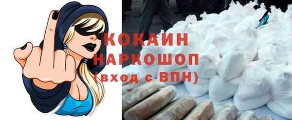 стаф Алзамай