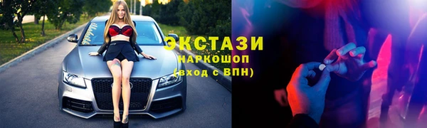 стаф Алзамай