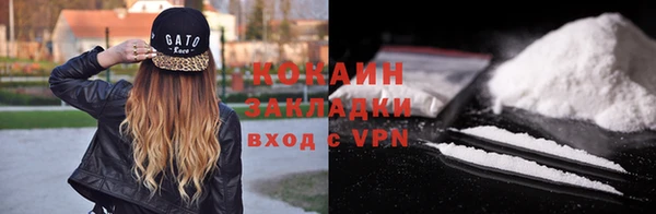 стаф Алзамай
