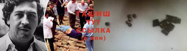 стаф Алзамай