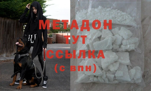 стаф Алзамай