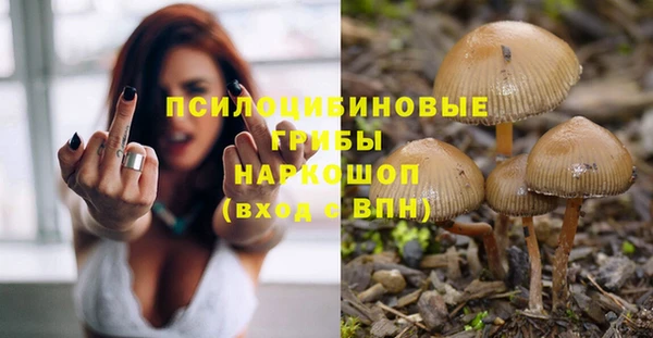 стаф Алзамай