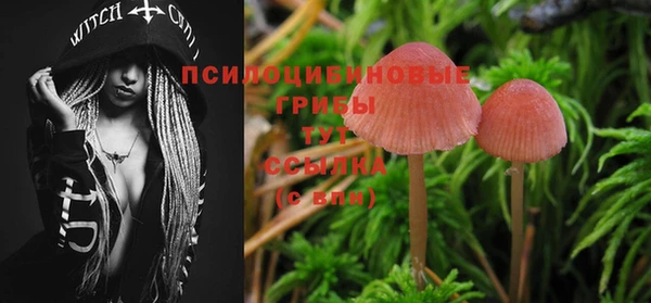 марки nbome Алексеевка
